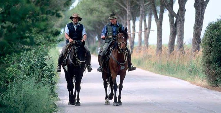 Hotel Ausonia Follonica Dış mekan fotoğraf